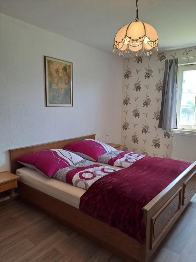 Keller'S Ferienwohnung An Der Saale Schwarzenbach an der Saale Ngoại thất bức ảnh